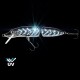 VU-PHFP