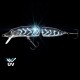 VU-PHFPL