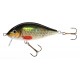 HOLO SELECT Crucian SW