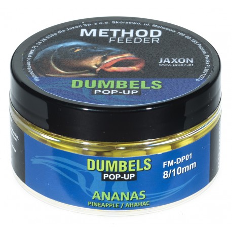FM-DP01