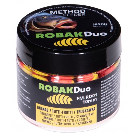 FM-RD01