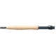 FLY ZONE XM  – carbon C24T