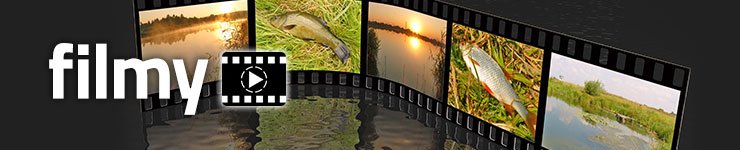 multimedia