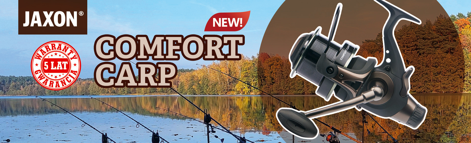 Comfort Carp